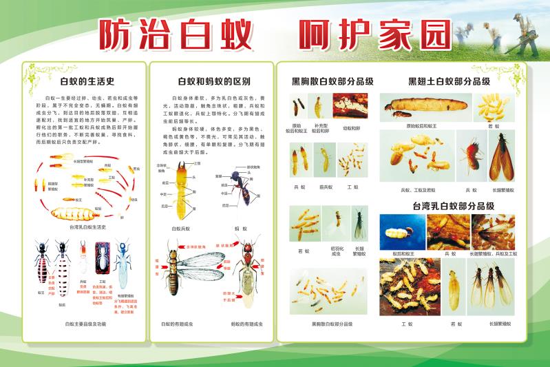 微信图片_20210327182022.jpg