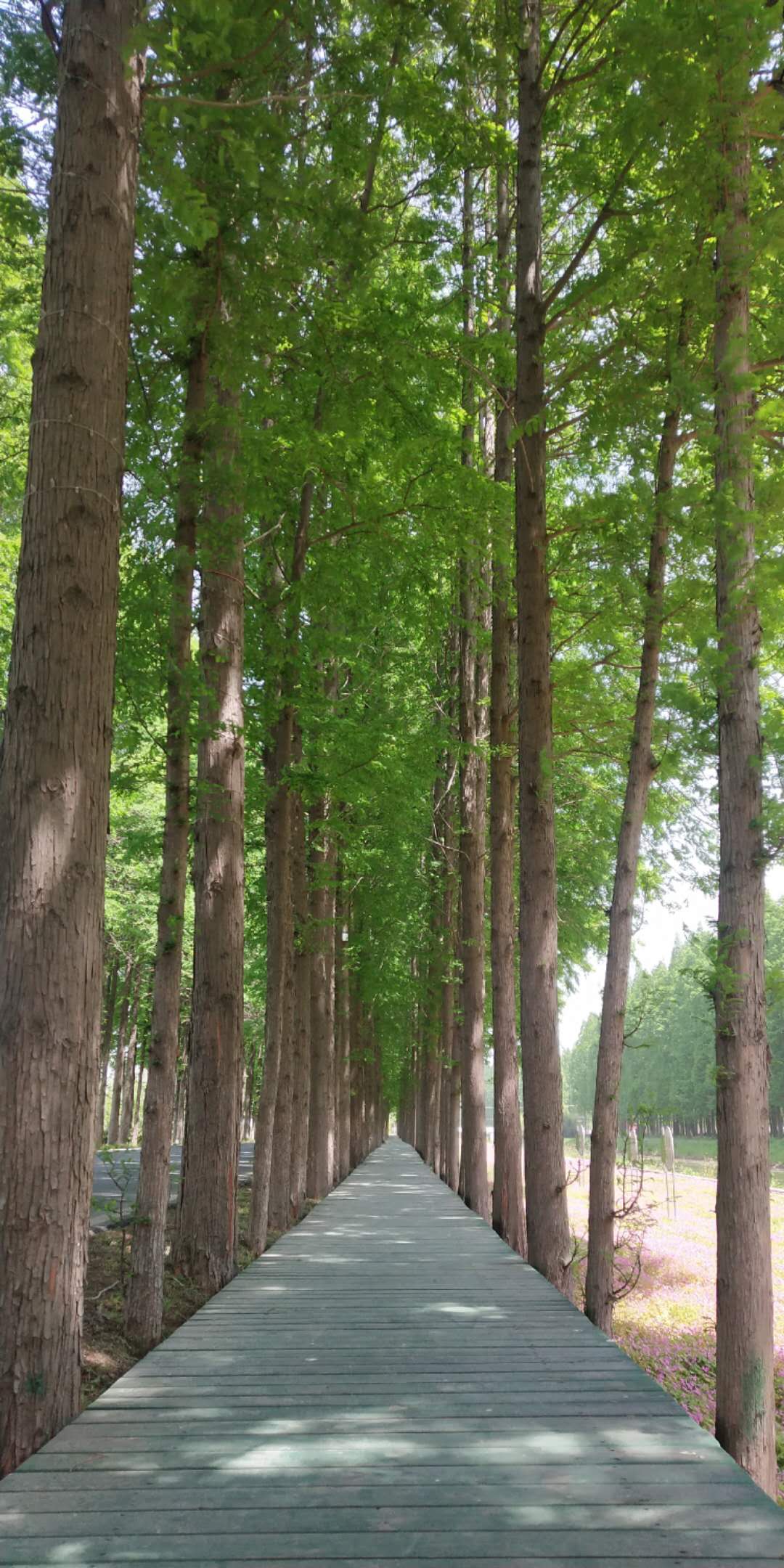 wechat_upload161909039860815bde34ca8