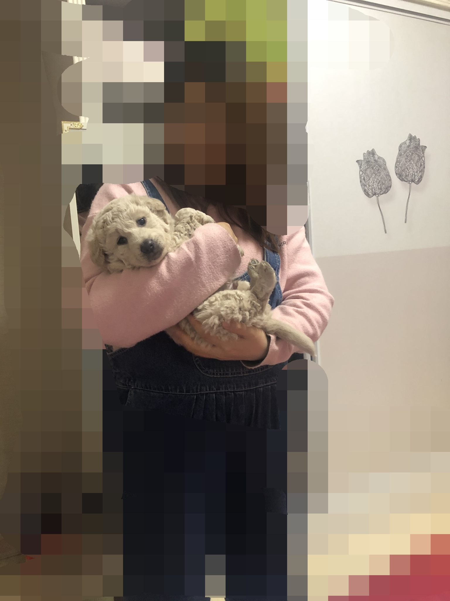 小白白2