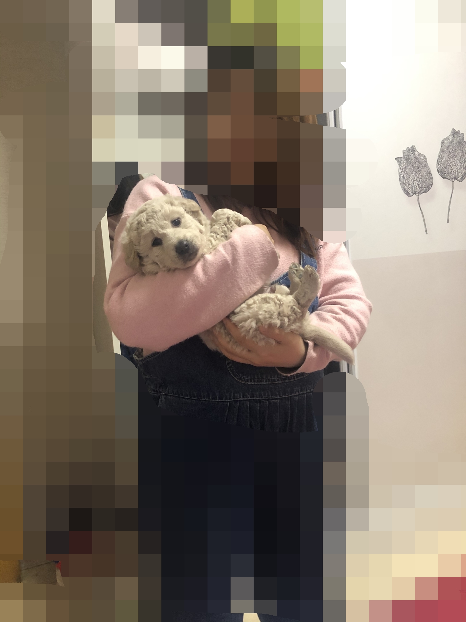 小白白
