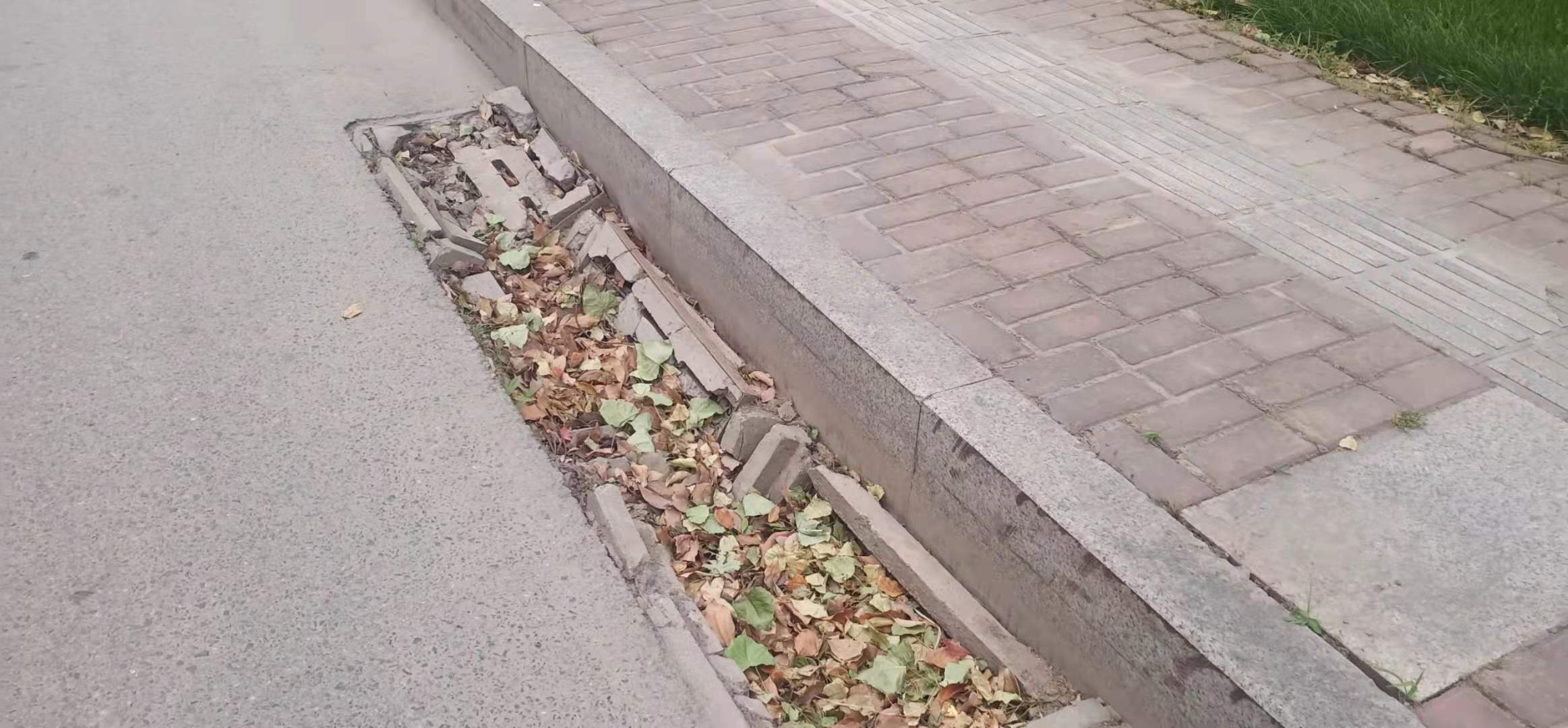 9cf8fcfef5b0f61e838cba4b2757090.jpg