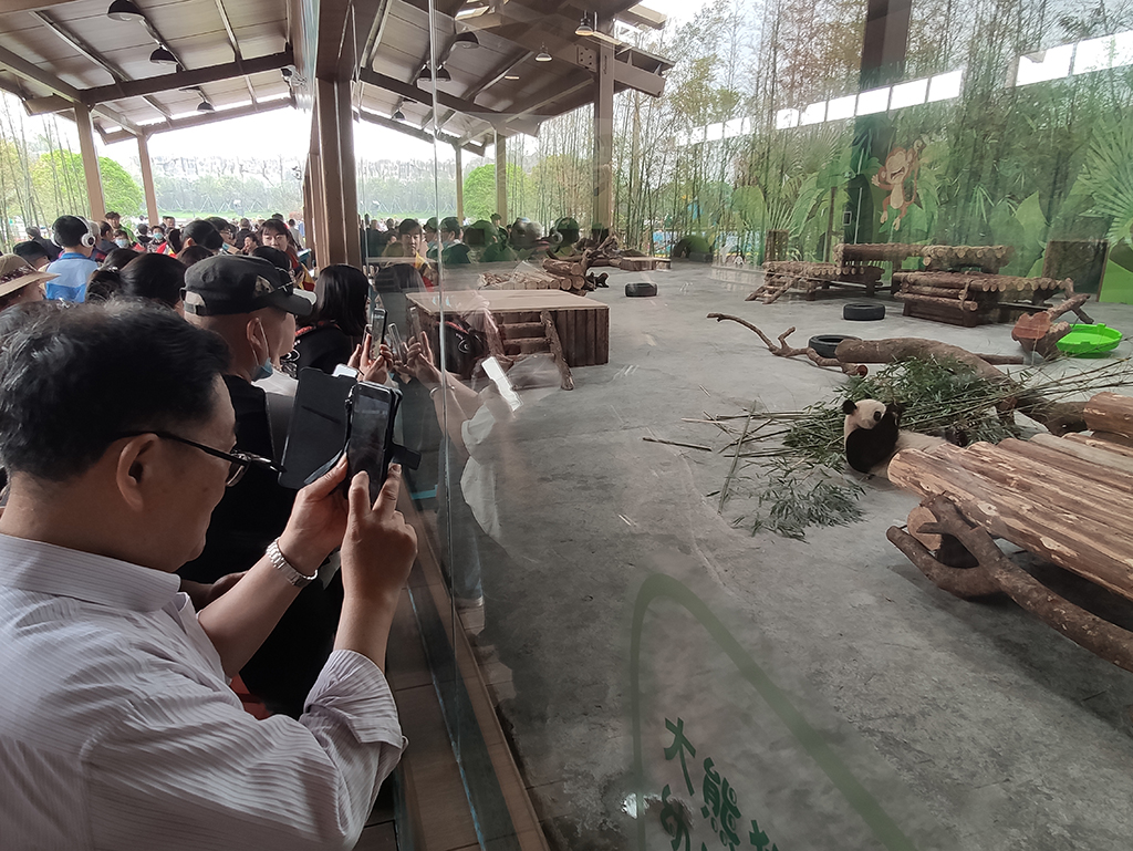 微信图片_20210506220511.jpg