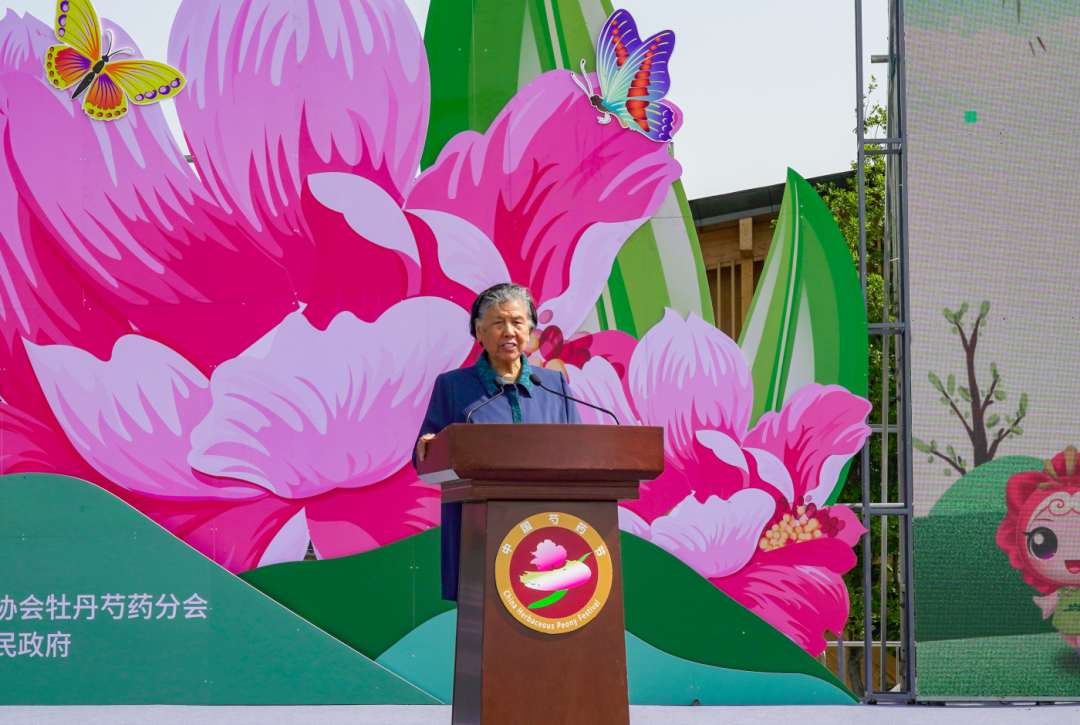 002131etvvichzkpwpsc5d.png