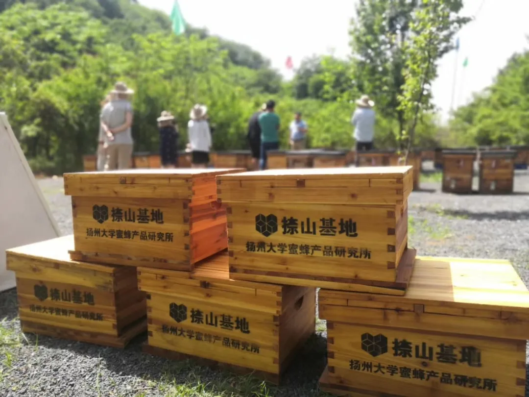 图片4.png