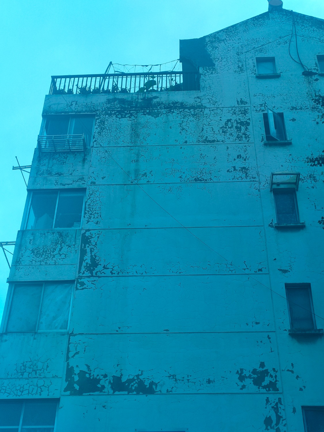 IMG20210520172205.jpg