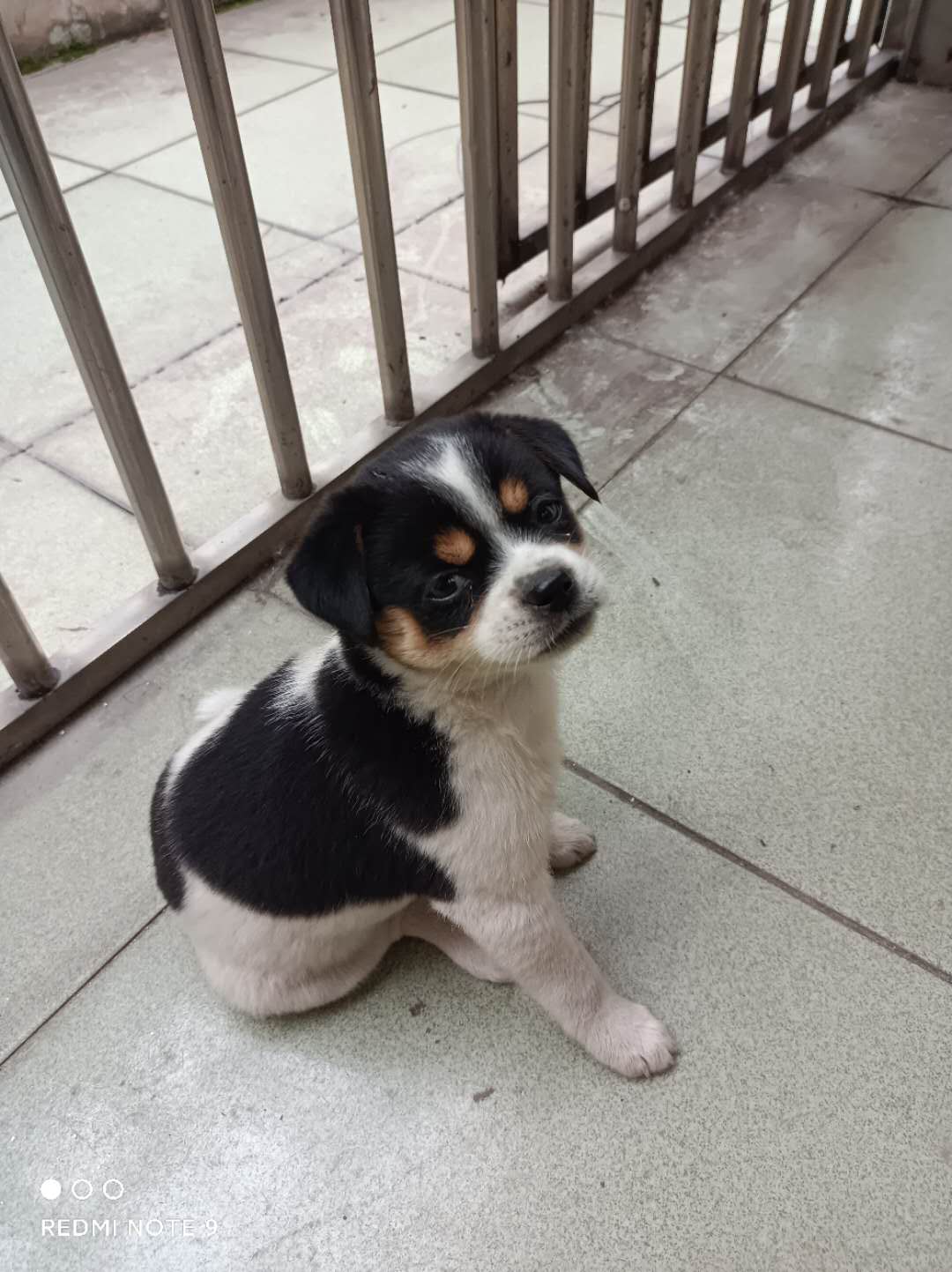 wechat_upload162157559560a747abd57d4