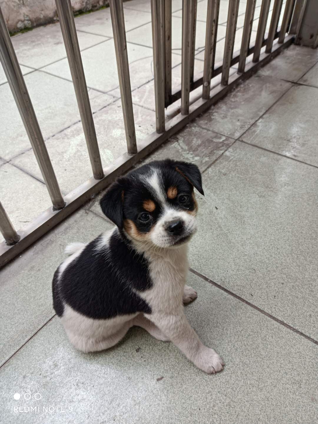 wechat_upload162157559660a747ac683b4