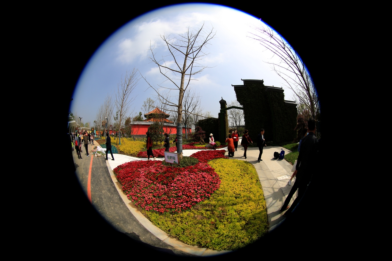 L33A5796.jpg