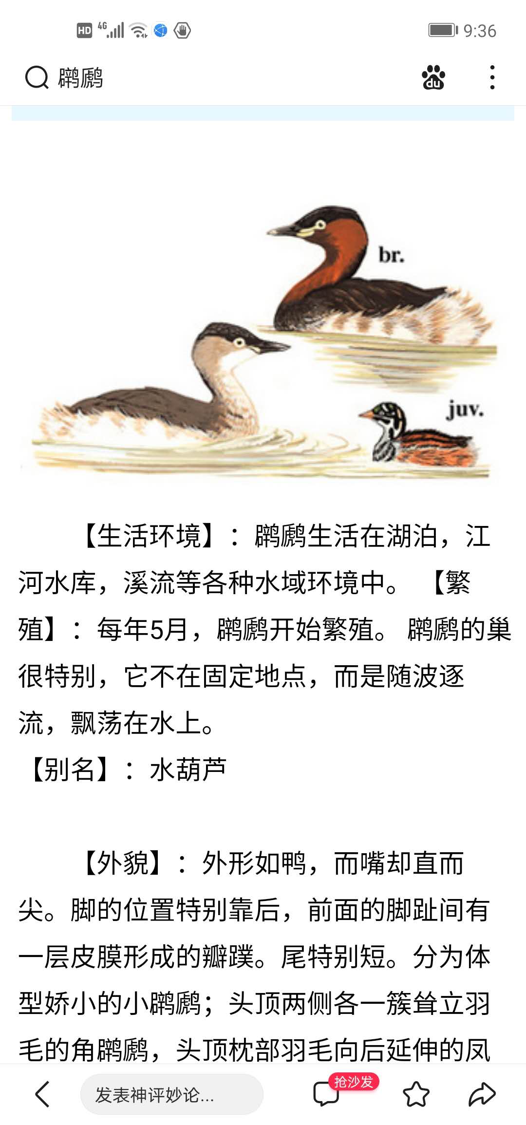 wechat_upload162277063560b983cb83e35