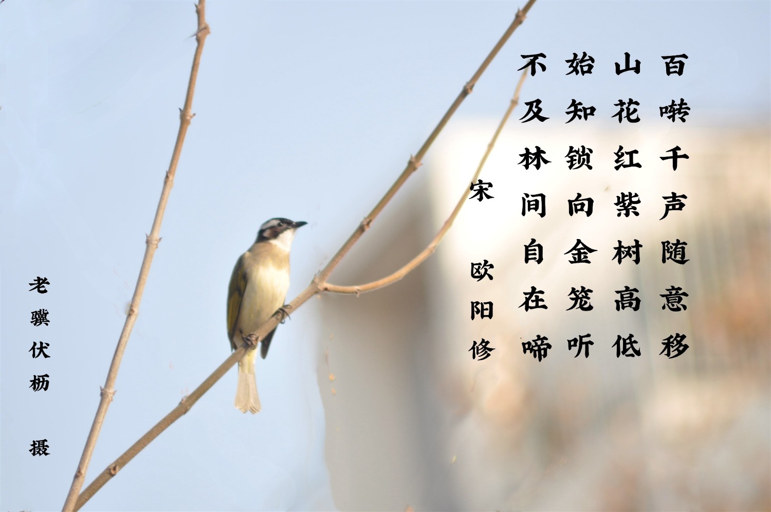 DSC_1573_o,_mh1622811308896.jpg