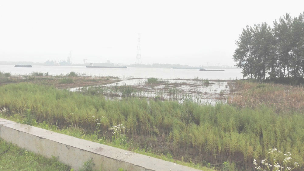 长江江面