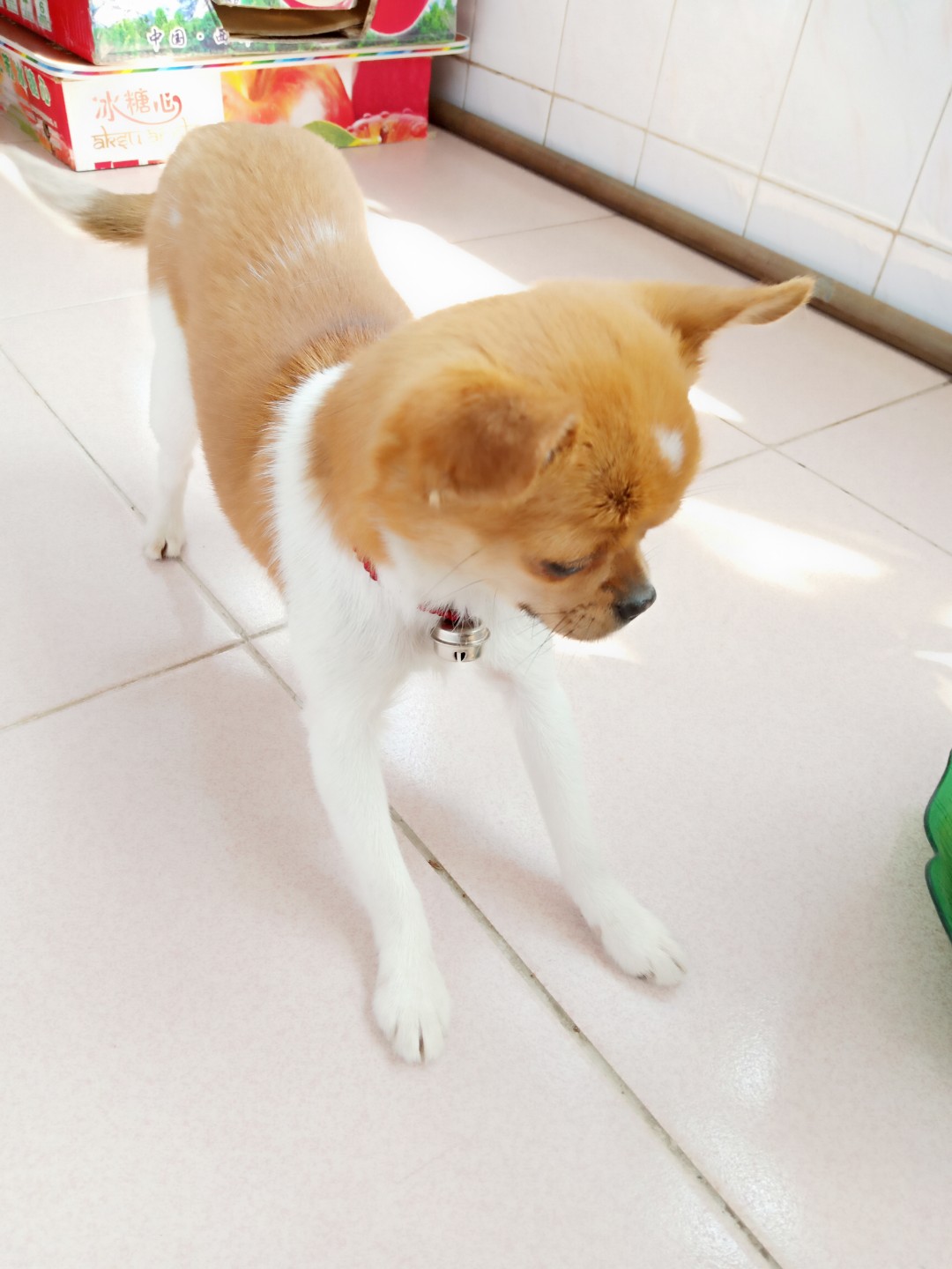 IMG20190427135632.jpg