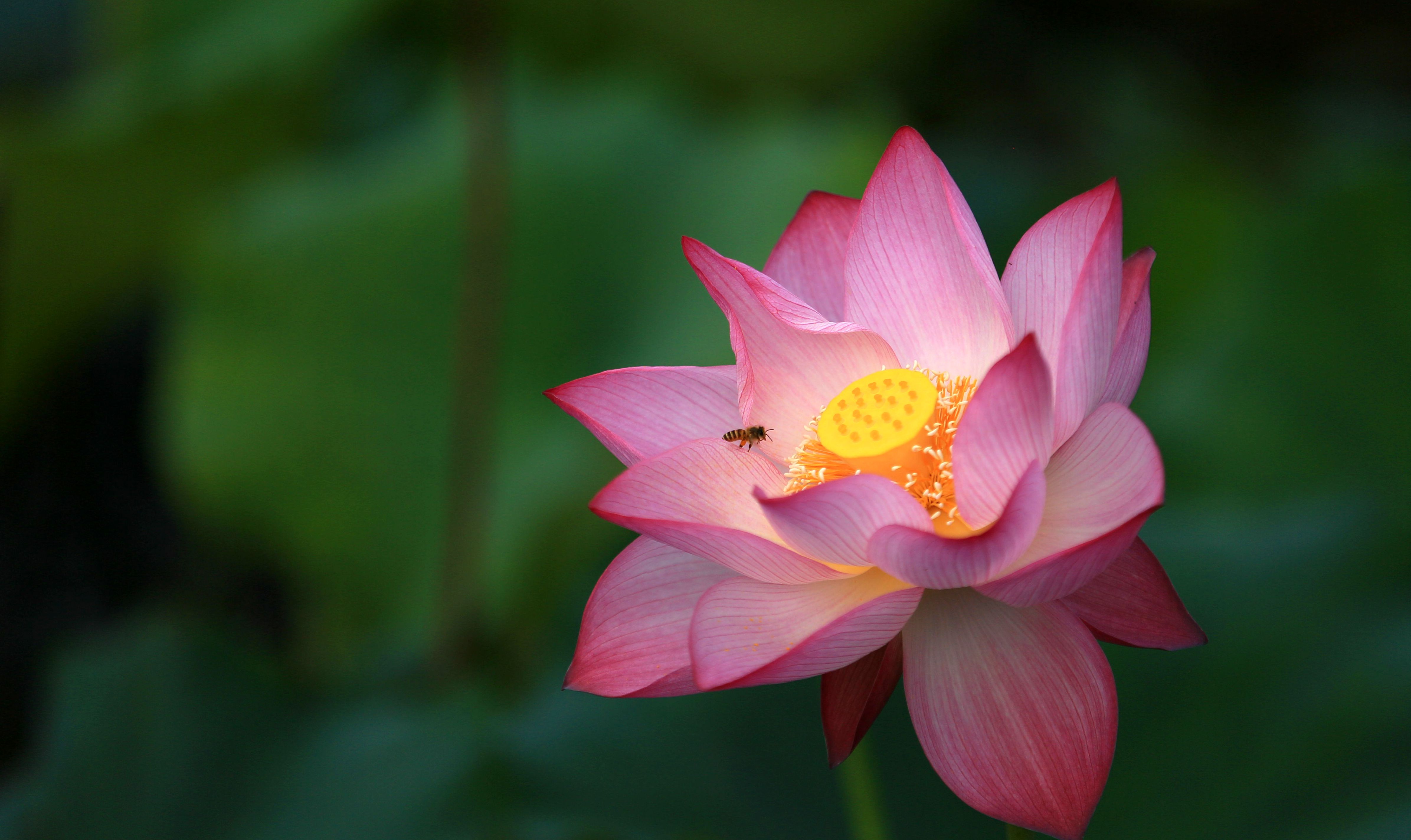 159A0906_副本.jpg