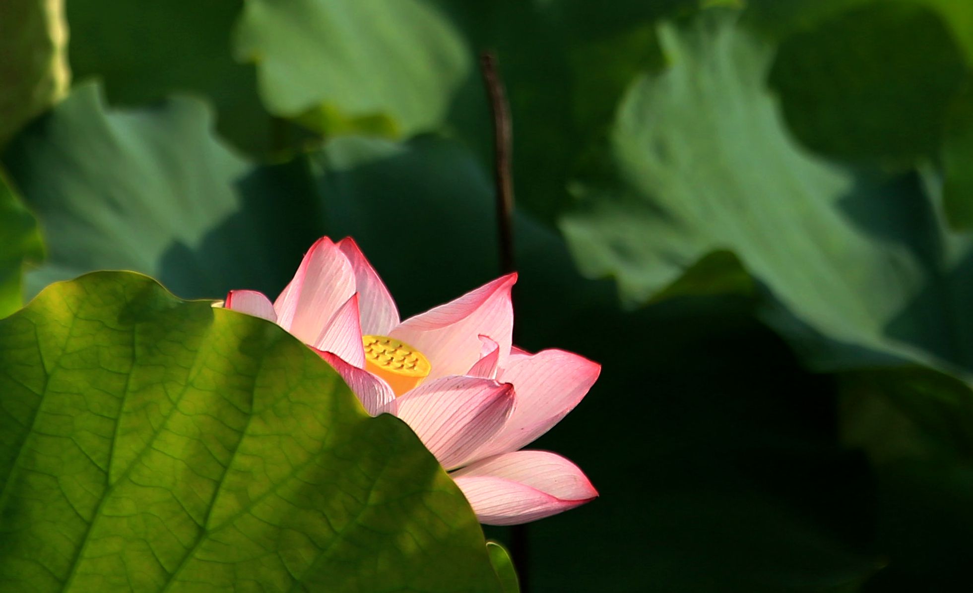 159A0891_副本.jpg