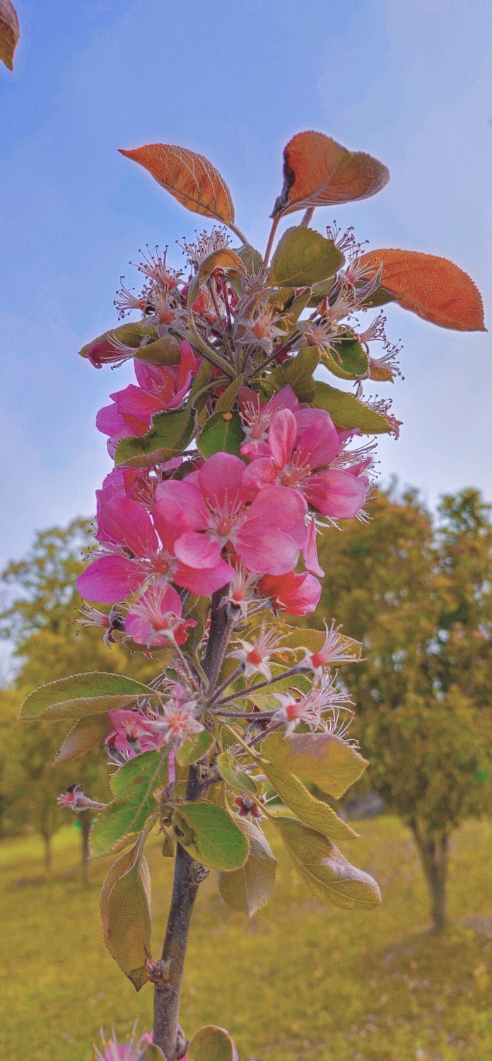 retouch_2021061921232056.jpg