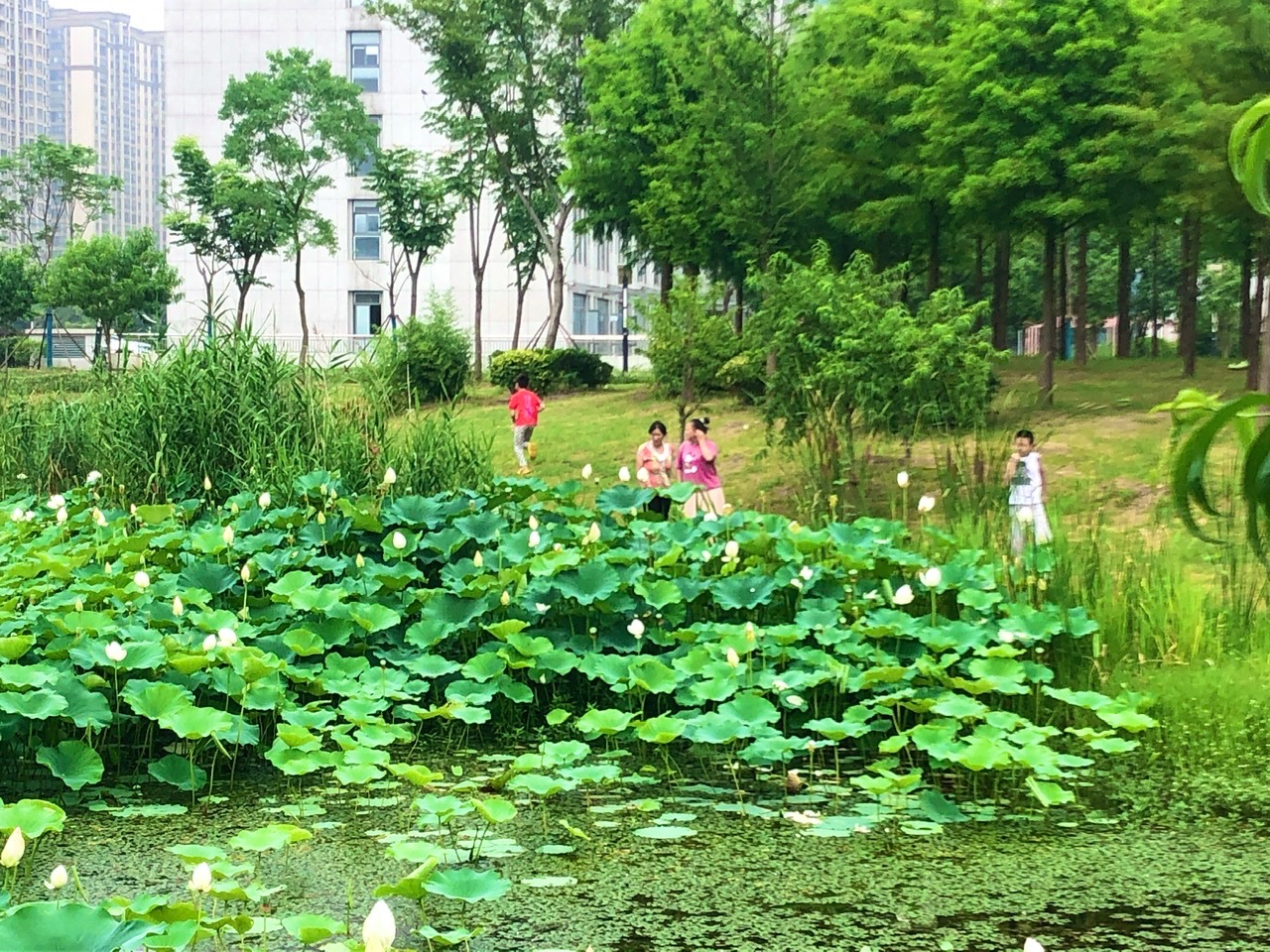 97173D57-4CB0-41A4-A443-EF5EA0E0E204.jpeg