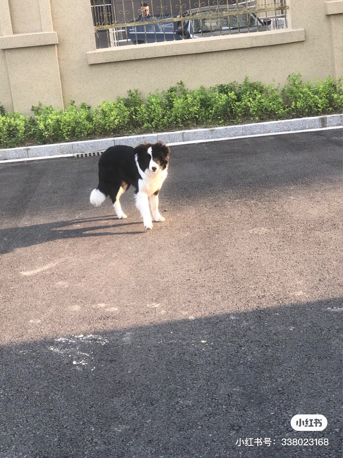 12A08948-8B18-4BEC-B8DC-32081D4C130D.jpeg