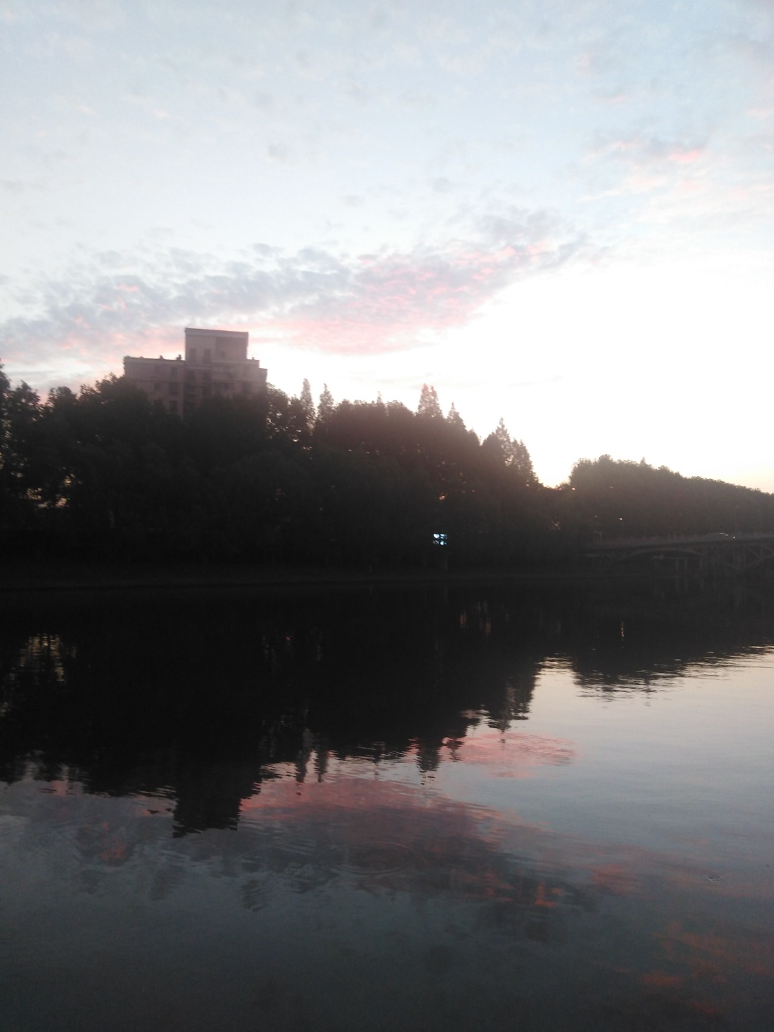 IMG_20200827_184019.jpg
