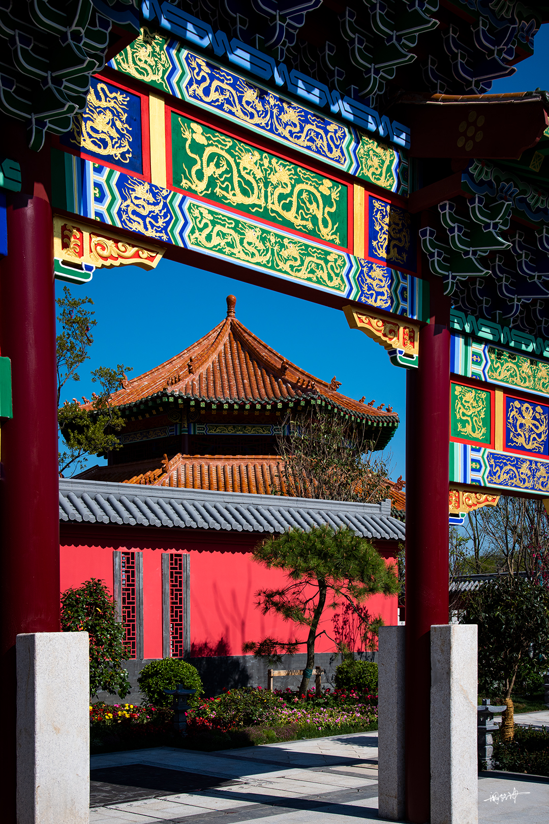 DSC_2803手.jpg