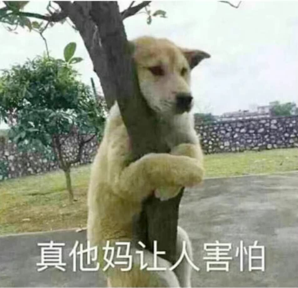 wechat_upload162647640160f20f71576e0
