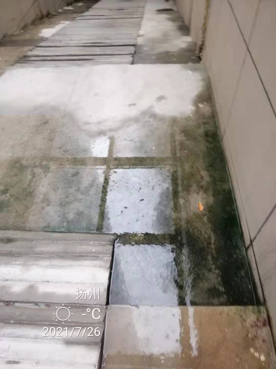 地面湿滑有青苔