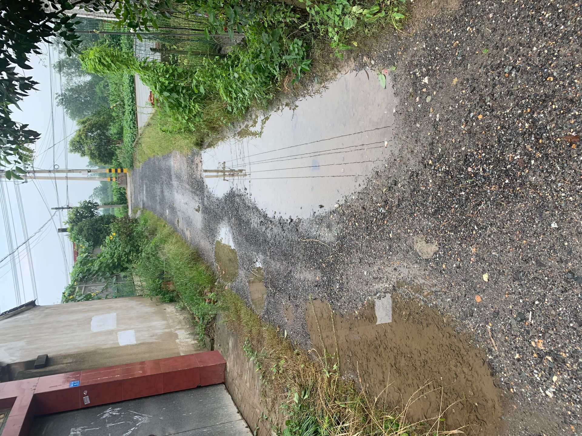 C30C1879-D5F2-4BA9-B017-4BFB03906FC5.jpeg
