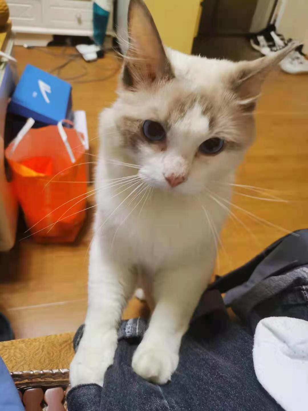 微信图片_202108120823321.jpg