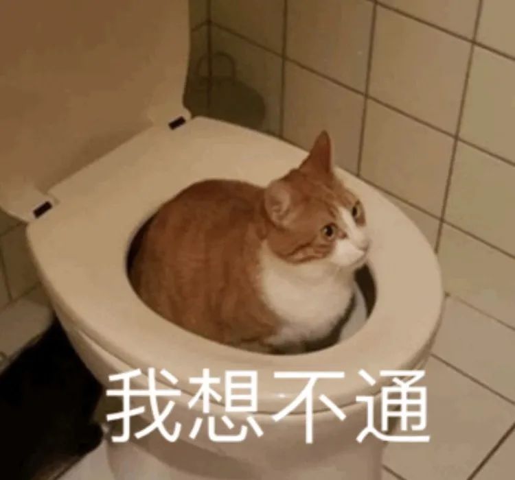 211406ew1zw5ou5rlcfkvw.jpeg