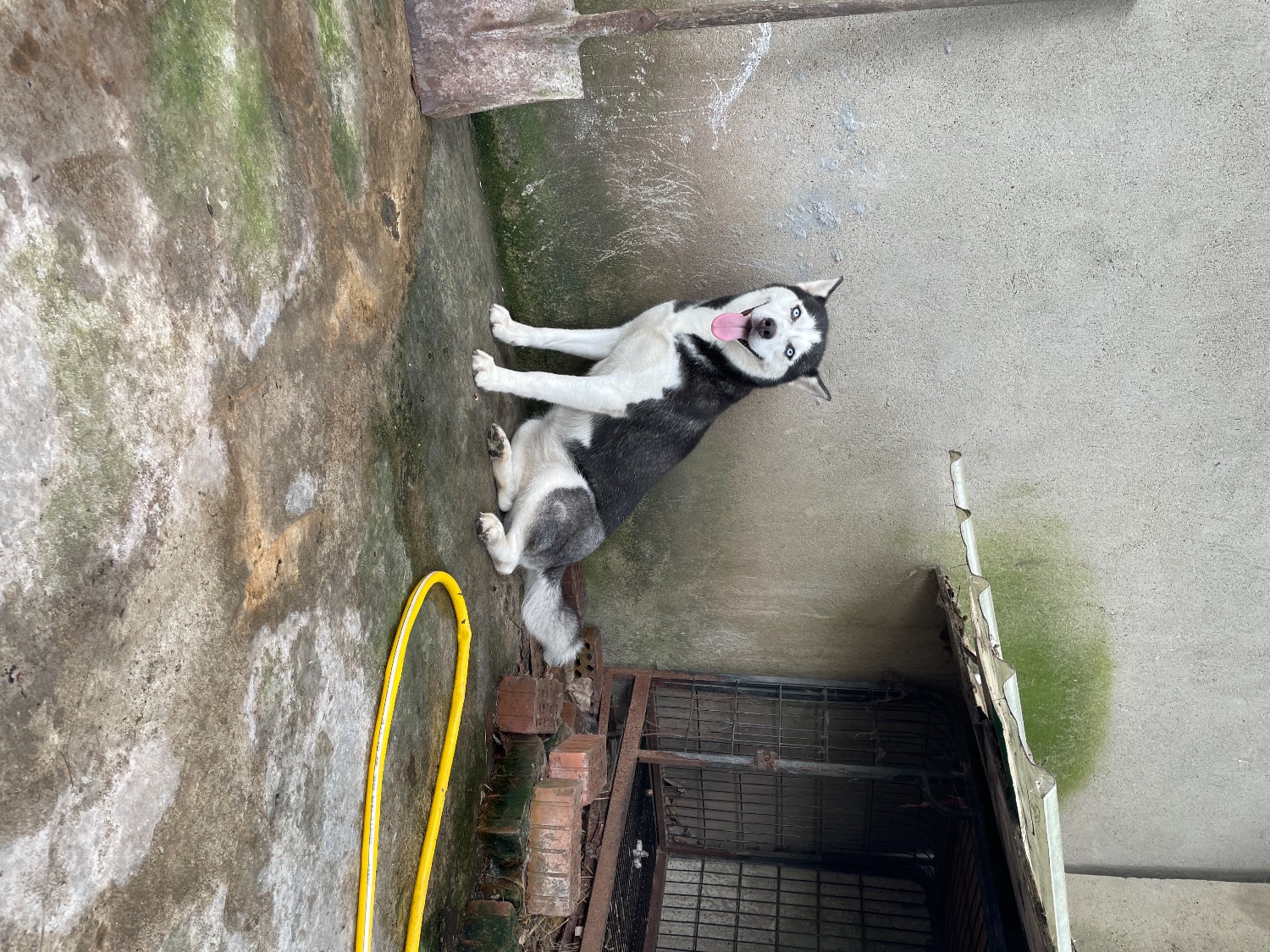 651916C0-376D-4483-A4F0-1E51FA5519D4.jpeg