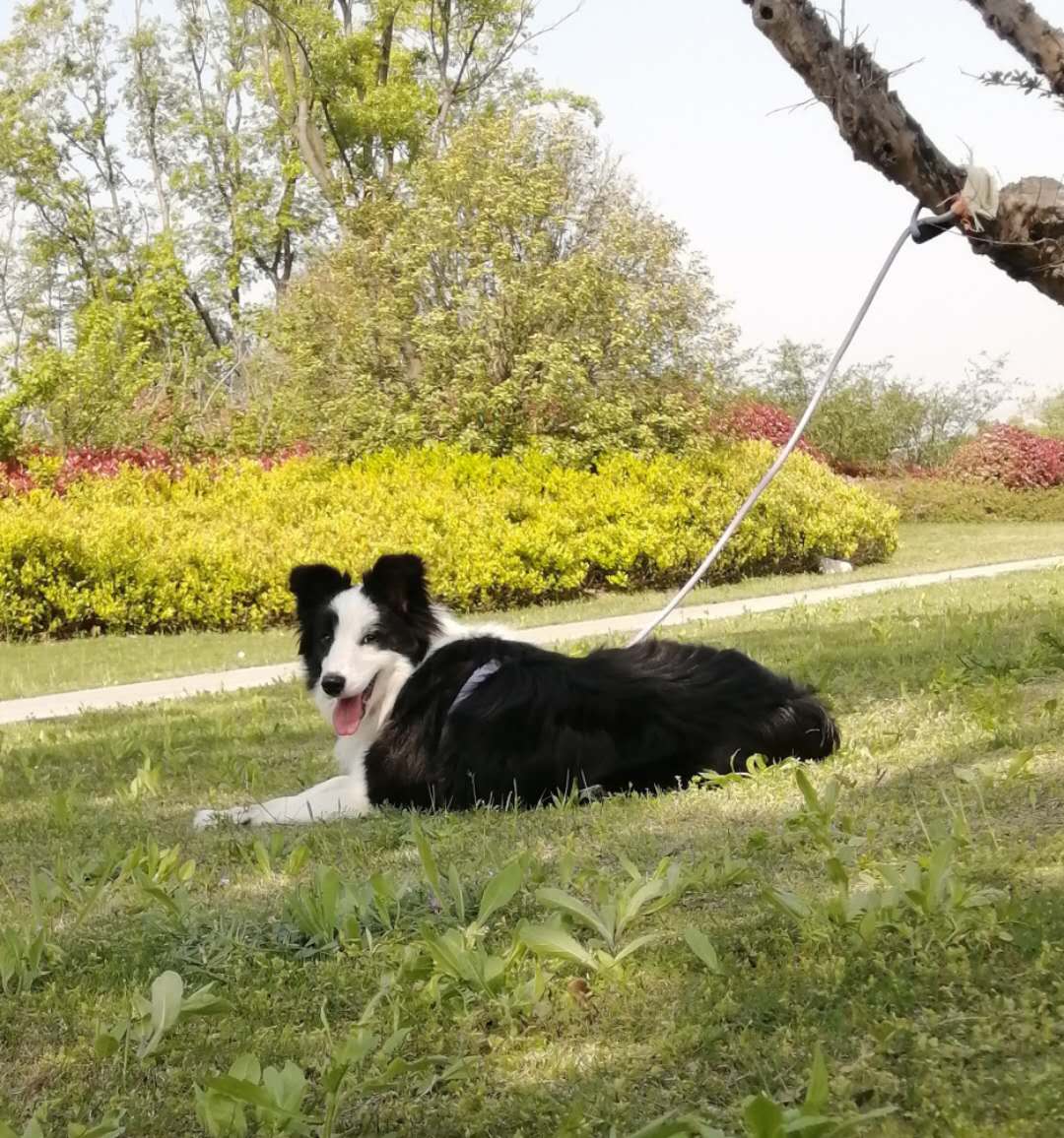 wechat_upload163107253661383118f1507