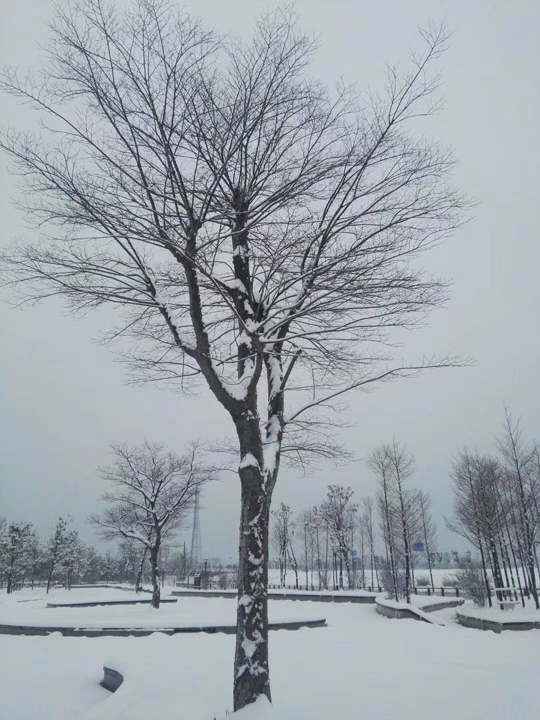 wechat_upload1632510860614e238ce4287