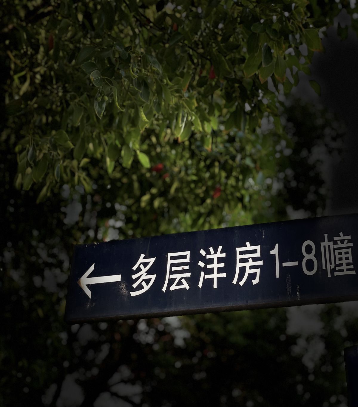 微信图片_20210926084839.jpg