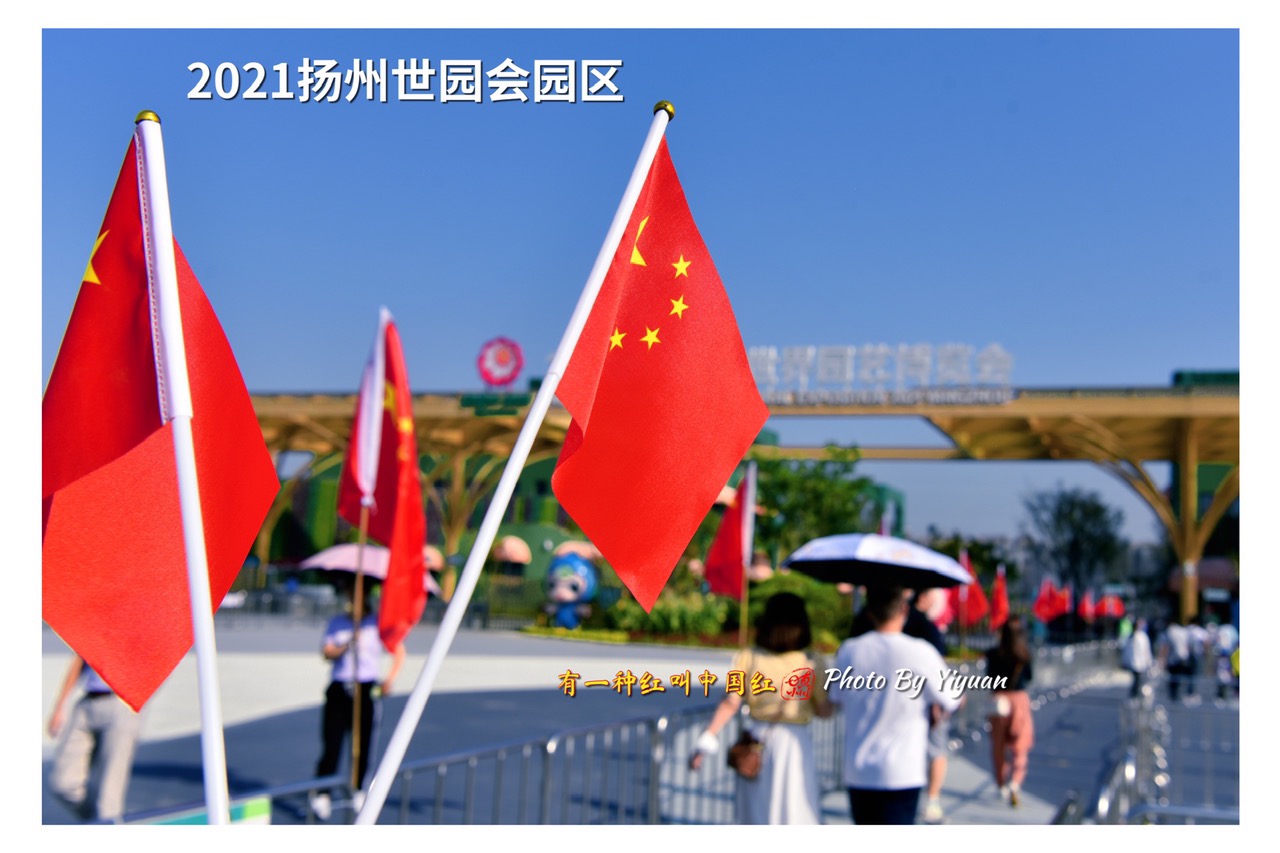 623F63D9-9DAF-4C80-A4C0-BAB816F6942C.jpeg