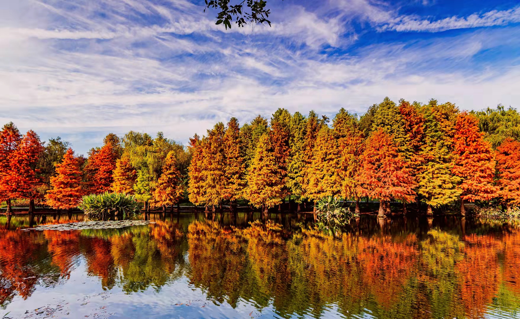 wechat_upload1635411859617a67939b319