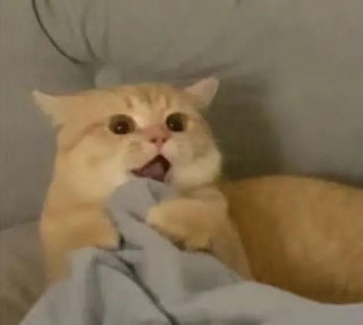 111705s3g7fjf71kkd55cv.jpeg