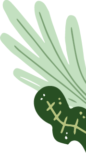 223646r7x1u6pzzfde17c6.png