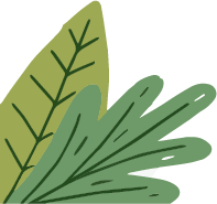 223700n22lkpv1oq1pd33h.png