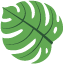 224026ddebd7r688d67exb.png