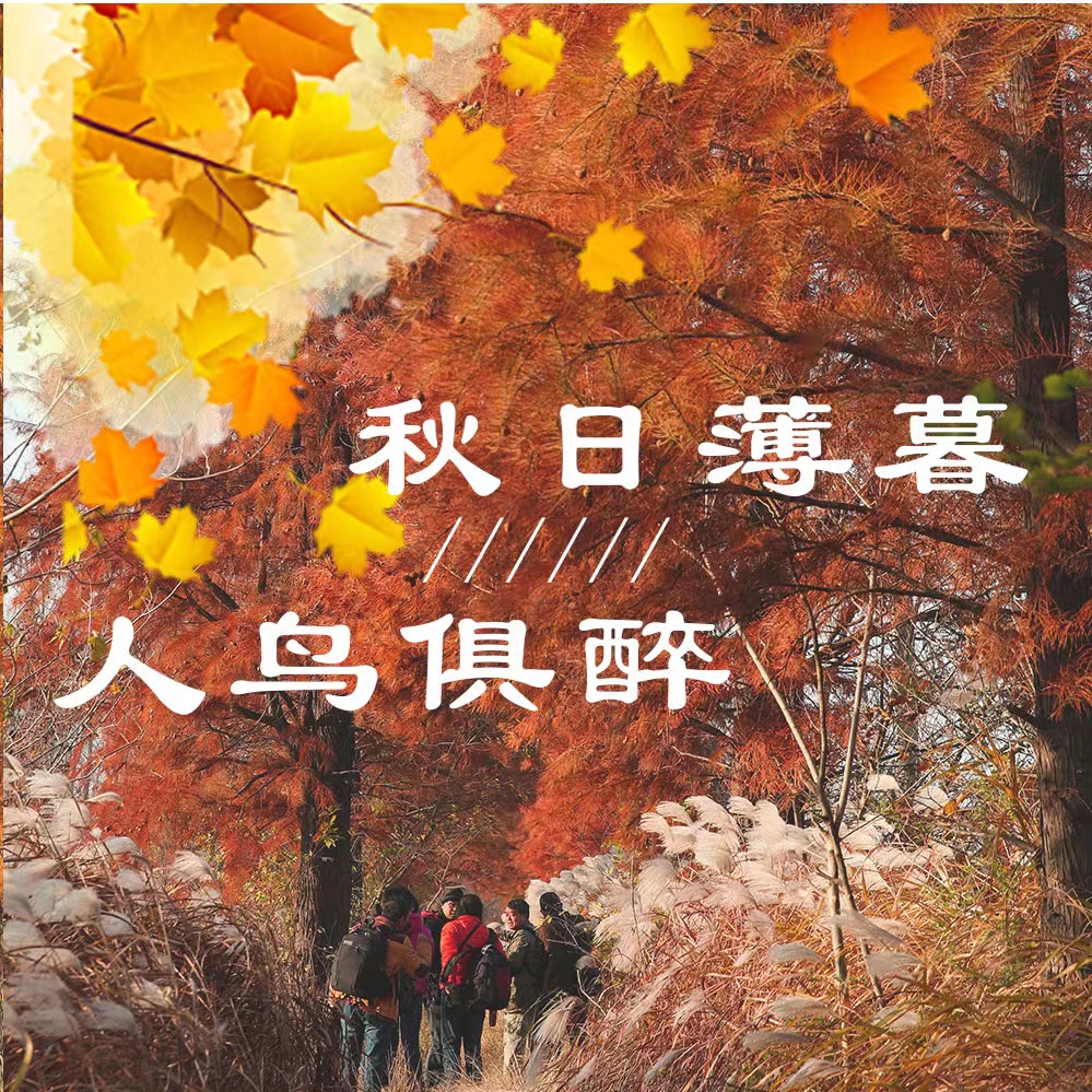 微信图片_20211125095645.jpg