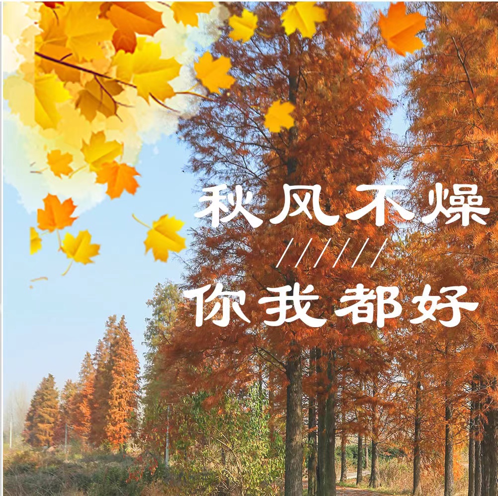 微信图片_20211125095649.jpg