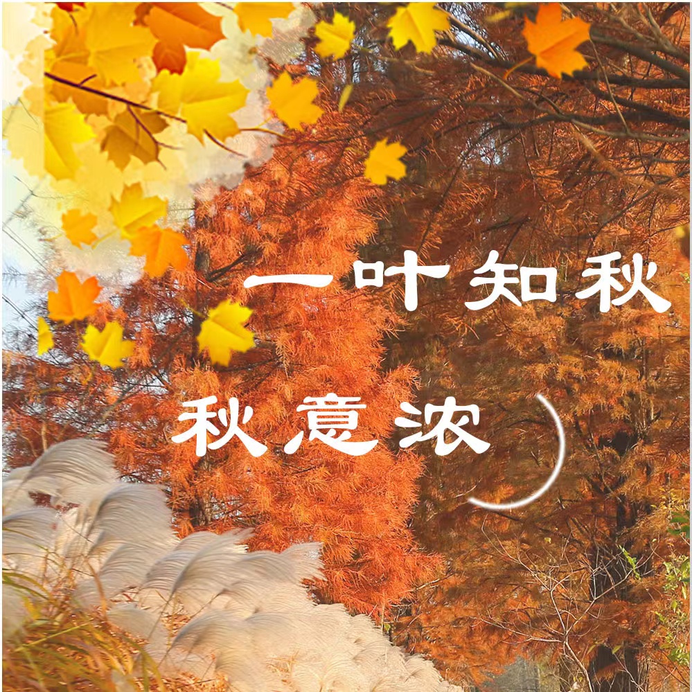 微信图片_20211125095651.jpg