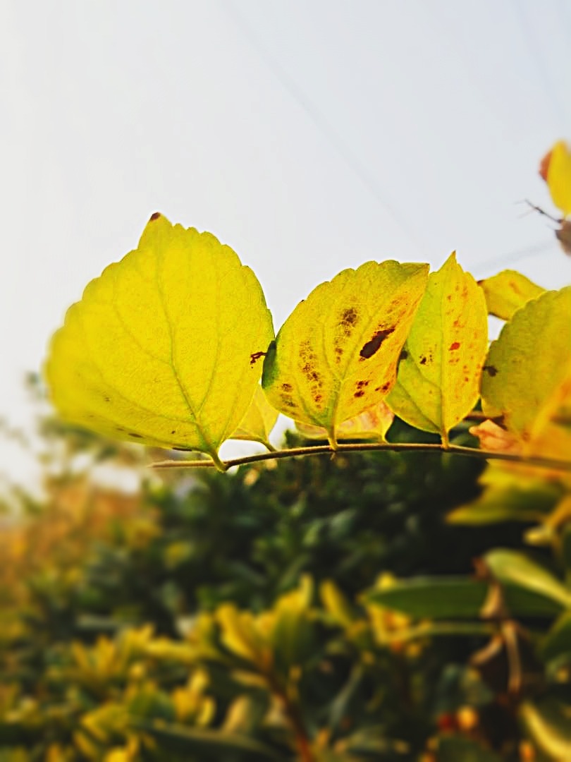 Youa_img_edit_1639311277192.jpg