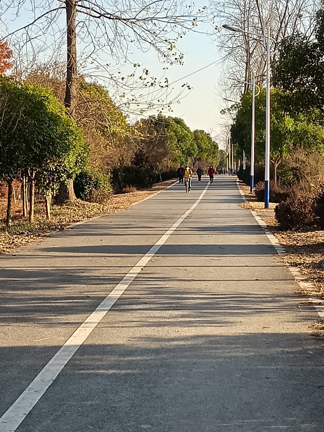 IMG20211218153409.jpg
