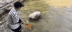 10.gif