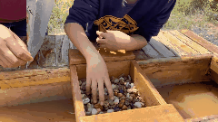 12.gif