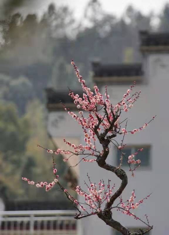 微信图片_20220102164020.jpg