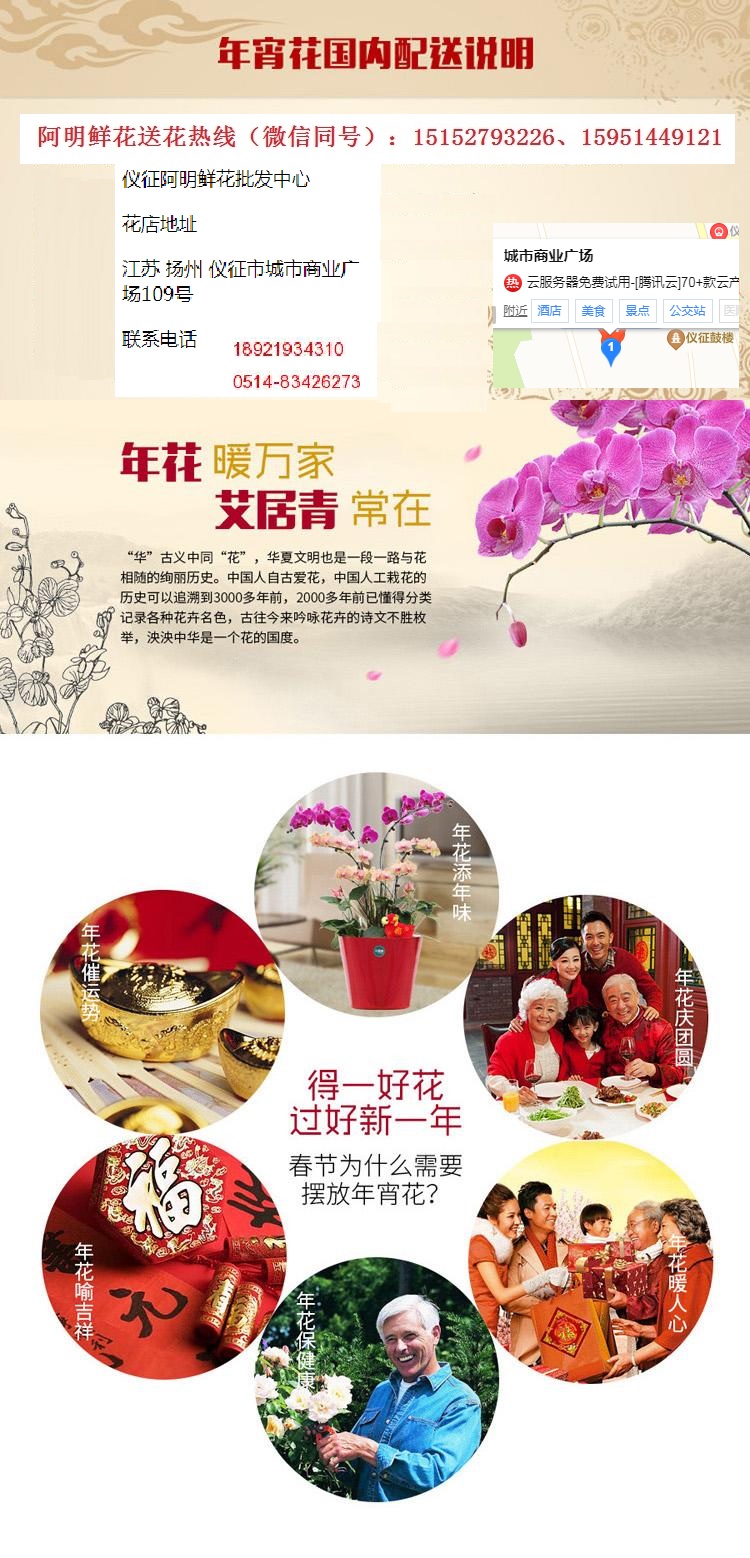 批零春节年宵花热线18921934310