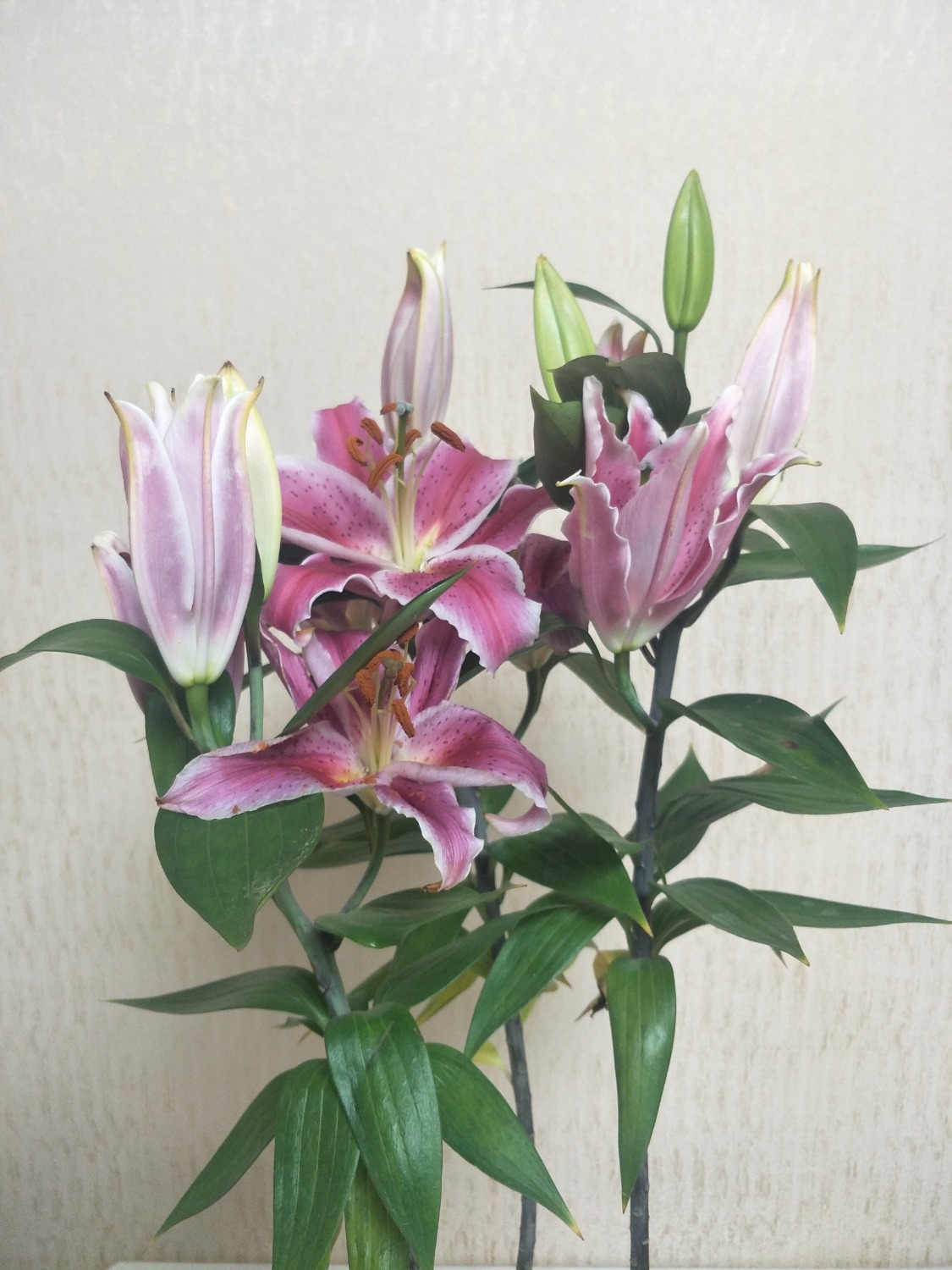 IMG20220218233601.jpg