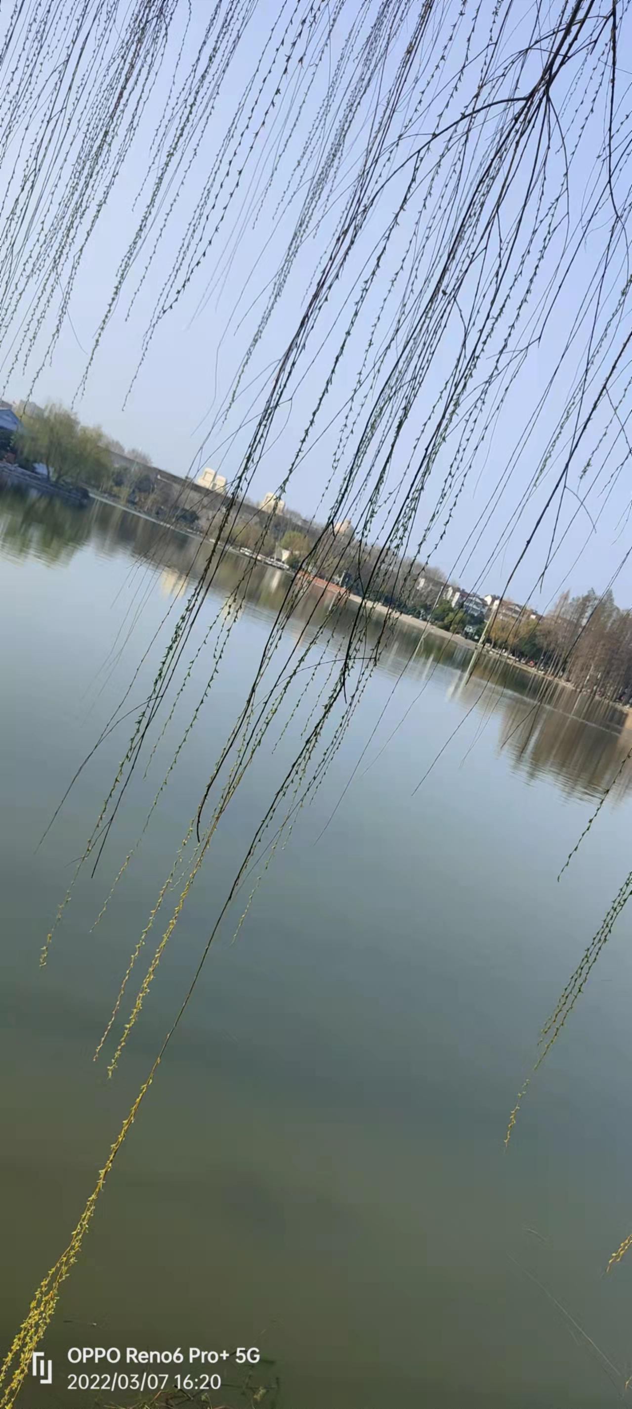 wechat_upload16466429786225c72208f6d