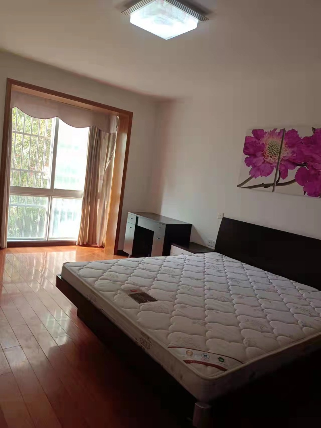 mmexport1646826962916.jpg